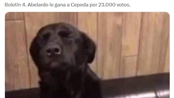 crédito @katscarey / X