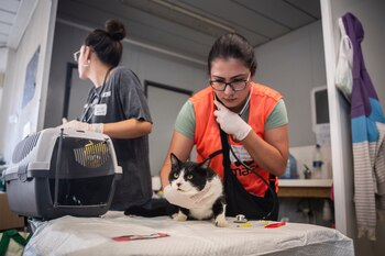 Dos mujeres atienden a un