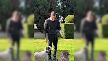 PACMA critica a Sánchez por