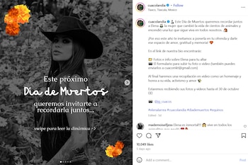 El santuario Cuacolandia conmemora el