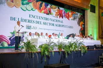 República Dominicana impulsa la mecanización agrícola para reducir costos de producción, elevar los rendimientos y disminuir la dependencia de mano de obra extranjera. (Foto cortesía Presidencia de la República Dominicana)