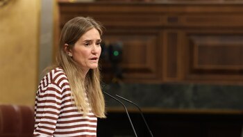 El Gobierno pone el foco