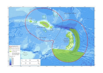 Una polémica decisión que será