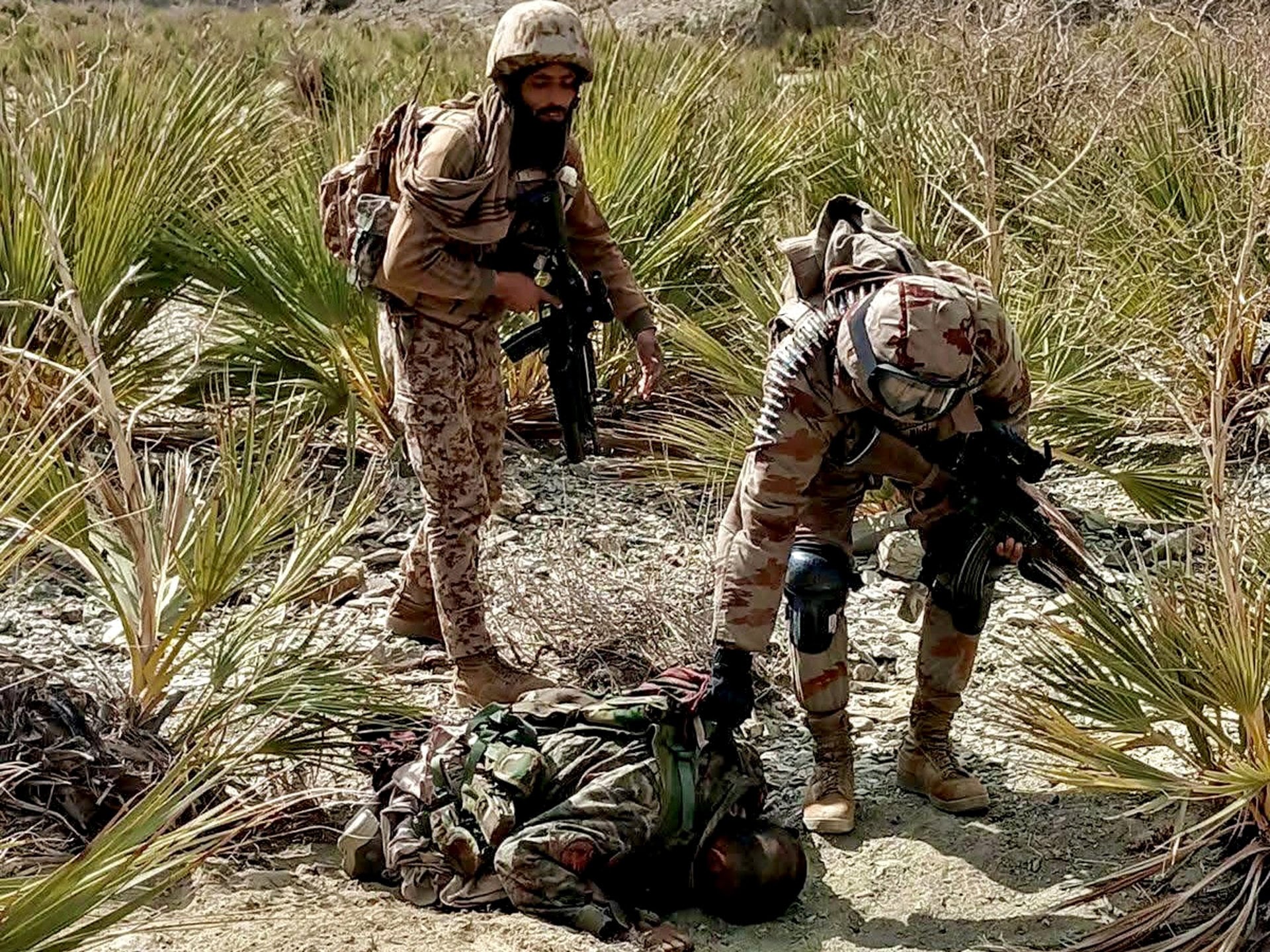 Pakistán anunció la muerte de más de 480 combatientes talibanes tras una semana de ofensiva contra Afganistán