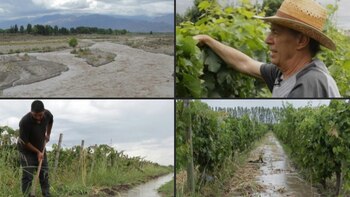 Productores del Valle de Uco,