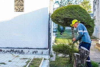 Las cuadrillas de saneamiento ejecutan tareas de chapoda, retiro de maleza, fumigación y mantenimiento preventivo de drenajes en los recintos. (Foto: Alcaldía de San Salvador Centro)