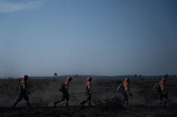 El fuego ya arrasó el