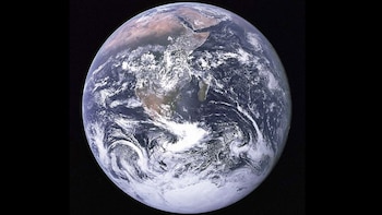 Toda forma de vida de