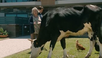 "La que se avecina", se