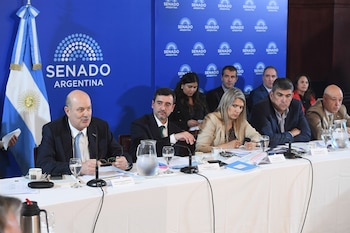 Los libertarios Agustín Coto y Nadia Márquez al lado de Sturzenegger. La neuquina tuvo que tomar el control del plenario ante legisladores kirchneristas que aprovecharon al recién llegado fueguino para poner la lupa sobre los inmuebles del jefe de Gabinete, Manuel Adorni, en vez de debatir la ley