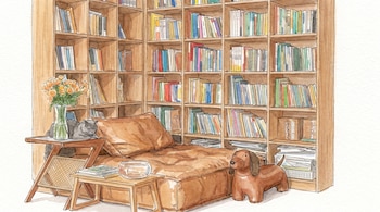 Ilustración en acuarela de un rincón de lectura con estanterías de madera llenas de libros, un gato gris sobre una mesa, un sofá y un perro de peluche.