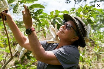 Costarricense dentro de las 100 Heroínas de la FAO