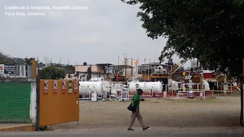 Más de 80 organizaciones civiles se posicionaron sobre esta decisión