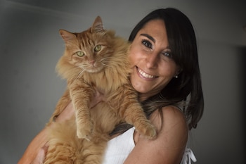 "El gato es una máquina