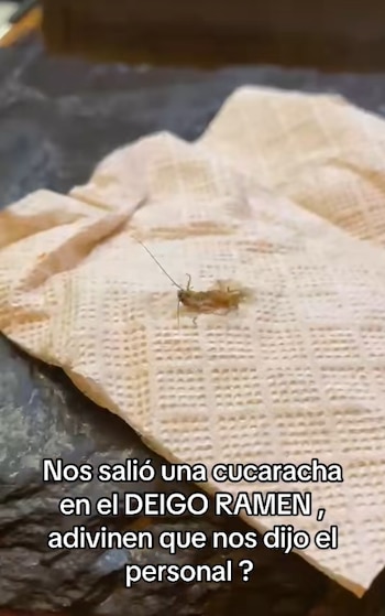 Una consumidora difundió material audiovisual para denunciar la presunta presencia de insectos en un establecimiento de Deigo Ramen en CDMX.