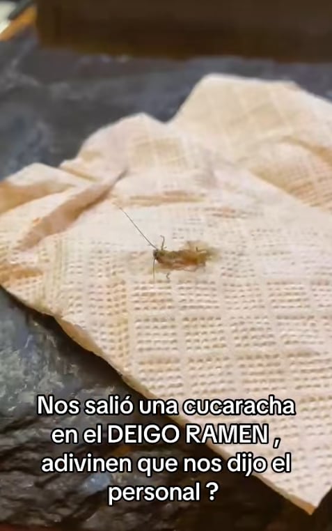 Una consumidora difundió material audiovisual para denunciar la presunta presencia de insectos en un establecimiento de Deigo Ramen en CDMX.
