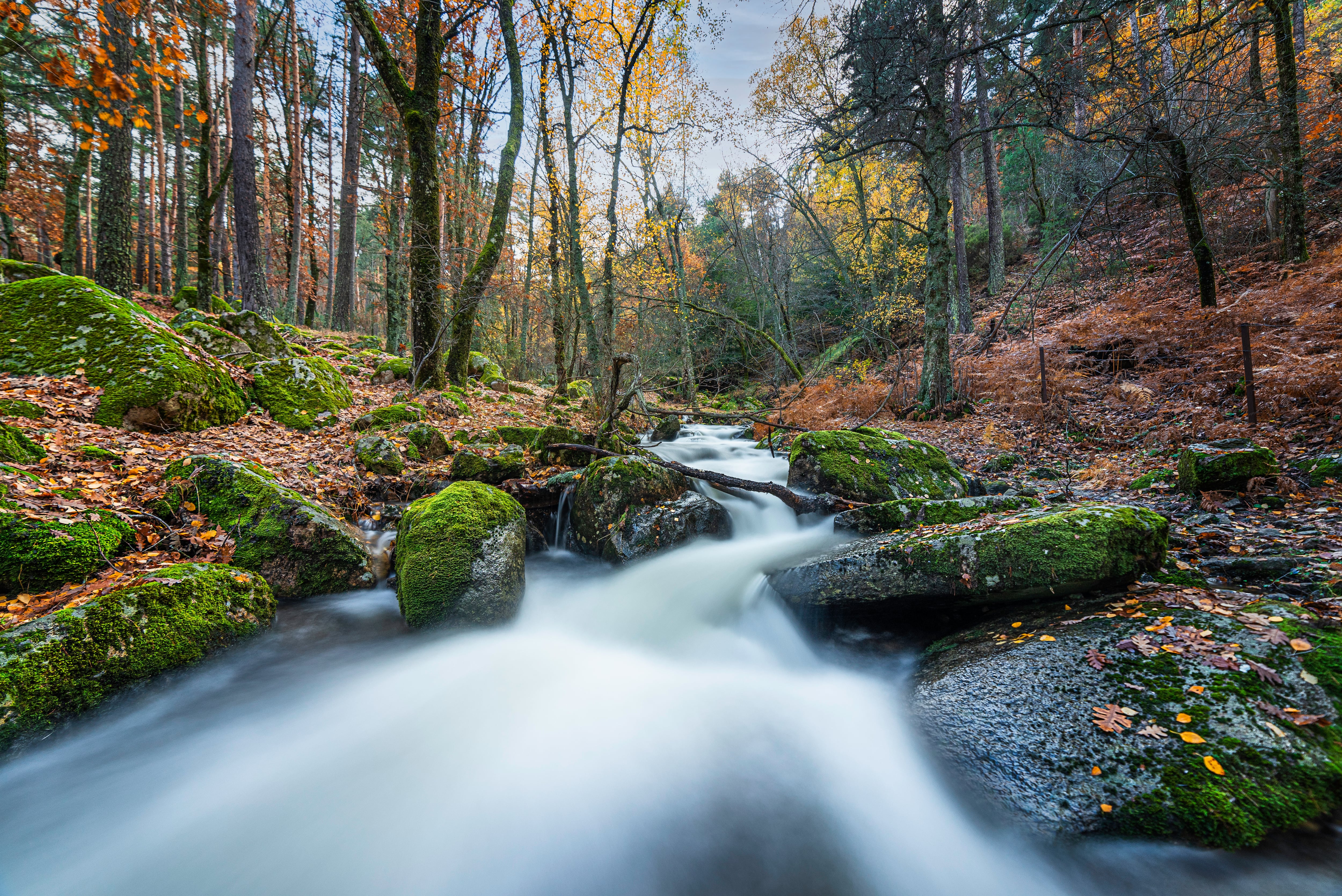 Mataelpino se sitúa a los pies de la Sierra de Guadarrama (Adobe Stock).