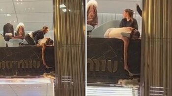 Dramático rescate de un perro