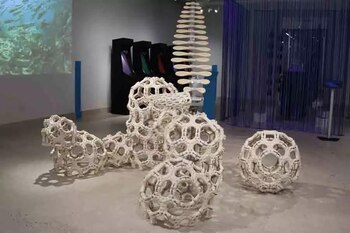 Los visitantes tienen la oportunidad