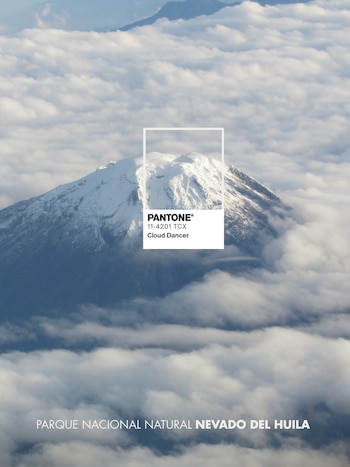 Estos son los referentes del