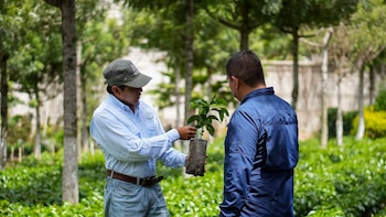 El MAGA presentó en Guatemala un plan para fortalecer la caficultura en el Congreso Nacional del Café