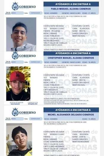 Las fichas de búsqueda de