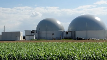 Para avanzar en una verdadera