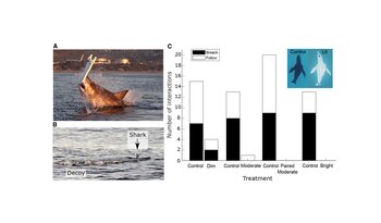 La investigación promueve una percepción