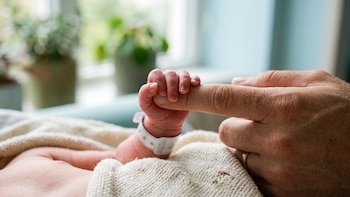 Tips Jurídicos: ¿Hay derecho a la identidad de los nacidos por fertilización asistida?