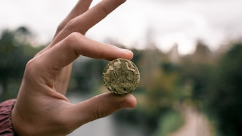 Cápsulas de yerba orgánica