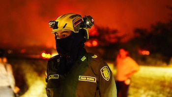 El Tolima es el departamento más afectado por la actual temporada de incendios forestales - crédito @gobertolima/Instagram