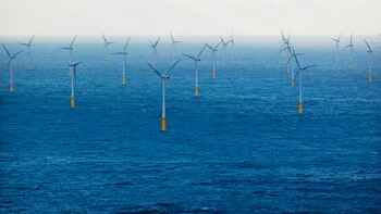 Cómo la innovación ayudará a