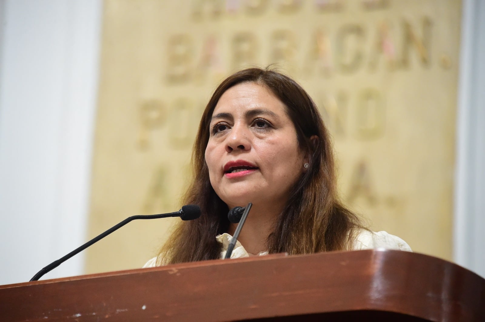 El Congreso de la Ciudad de México, a propuesta de la diputada Yolanda García Ortega, exhortó a la Secretaría de las Mujeres de la Ciudad de México a permitir que los animales de compañía puedan ser admitidos en los refugios especializados de atención a víctimas de violencia. Foto: (Congreso de la CDMX)