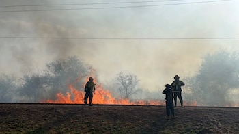 Las autoridades intensifican la vigilancia en espacios verdes para prevenir nuevos focos durante la temporada seca (Fuente: Municipalidad de Salta)