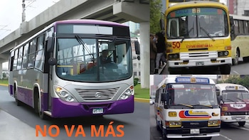 Línea 50 volverá a circular