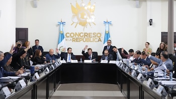 La comisión mixta del Congreso