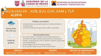 @SGIRPC_CDMX