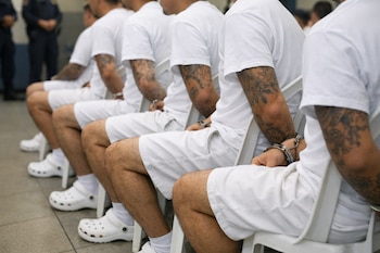 Vista lateral de varios hombres con tatuajes en los brazos, vestidos de blanco, sentados en sillas blancas con esposas en sus manos. Calzan crocs blancas.