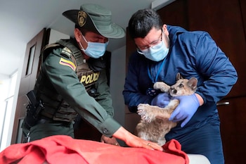 / Secretaría Distrital de Ambiente