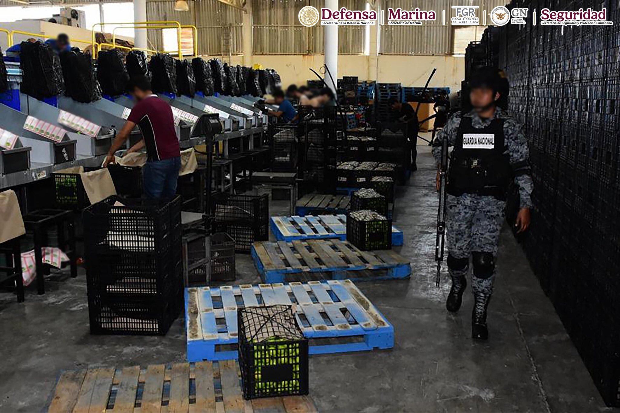 Operativos y patrullajes en centros de distribución y zonas agrícolas en el marco del Plan Michoacán. Crédito: Gabinete de Seguridad