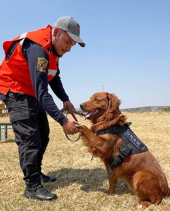 Binomios caninos de la UNAM