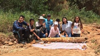 Hallazgo de colmillo de mastodonte