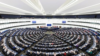 Pleno del Parlamento Europeo. PROEXPORT