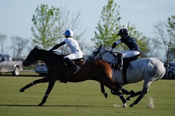 Poroto y Cavanagh disputan la