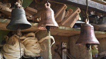 Milagro de Semana Santa: robaron