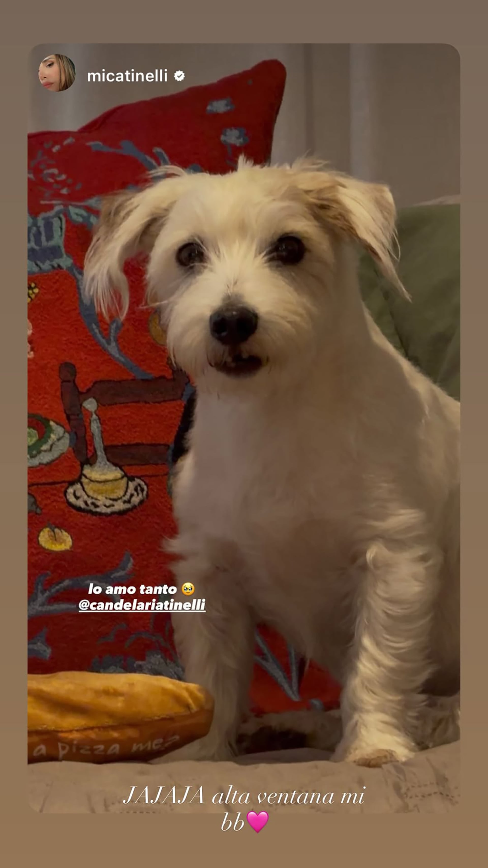 Micaela Tinelli comparte una fotografía de Linda dedicada a Candelaria Tinelli