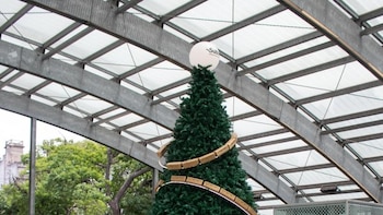 Colocaron un árbol de Navidad