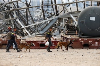 Miembros del equipo de rescate francés con perros caminan en el lugar de la explosión del martes, en la zona portuaria de Beirut, Líbano, 7 de agosto de 2020. REUTERS/