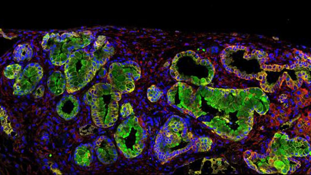 MASY3BMI4BEONLZACSQGKVW3ZE