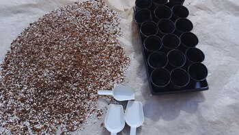 Sustratos a medida: la nueva